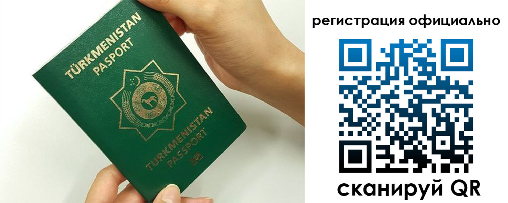 прописка поиск в Коркино